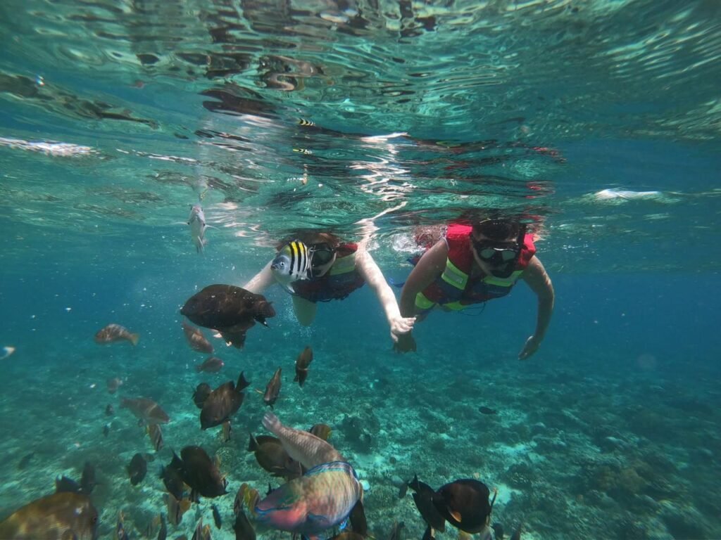 Snorkeling gili trawangan