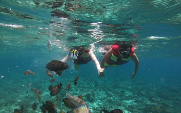 Snorkeling gili trawangan